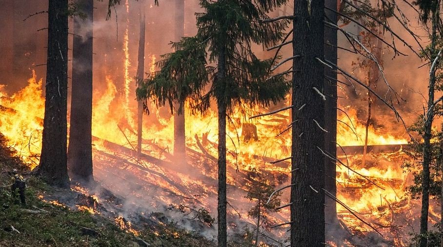 DNV Fire Crews