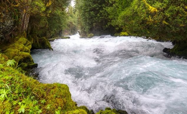 River in North Shore.