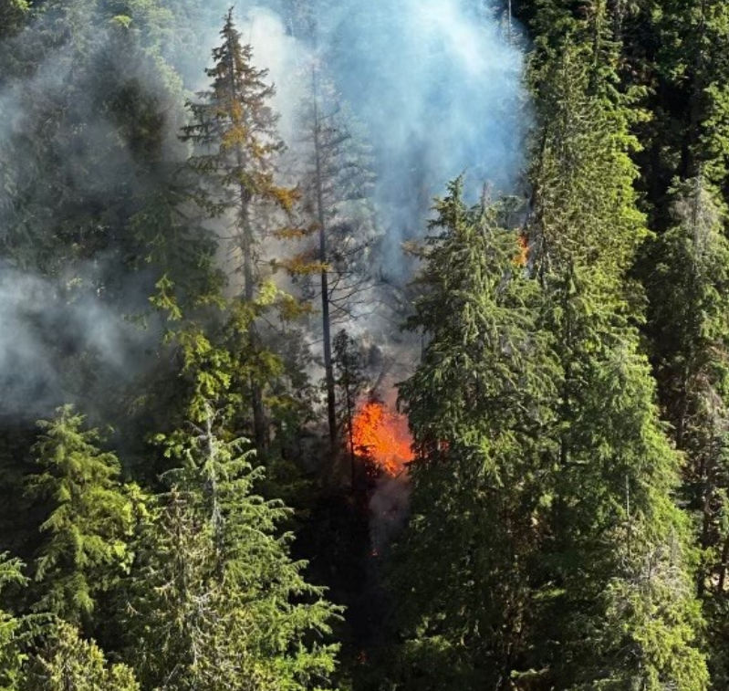 Mt. Seymour Fire