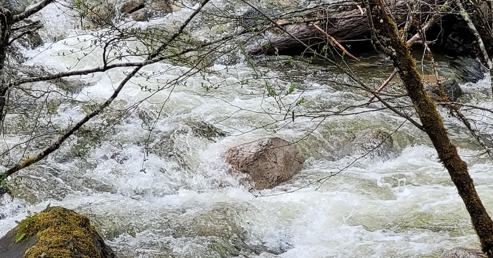 south coast bc river