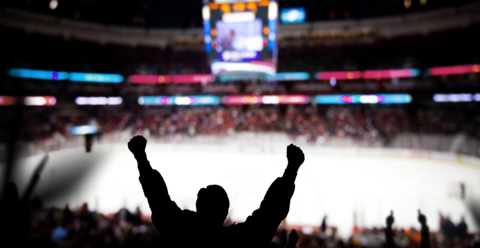 Person at the Vancouver Canucks game.