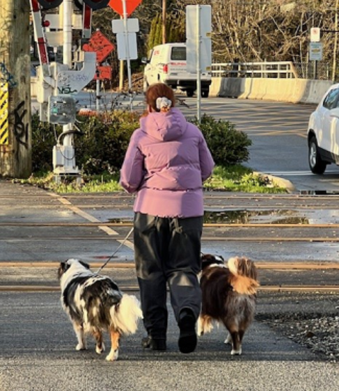 woman walking dogs in North Van