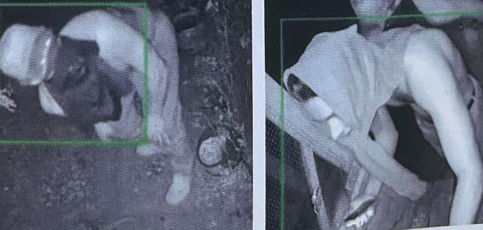 Suspect stealing chicken in North Vancouver