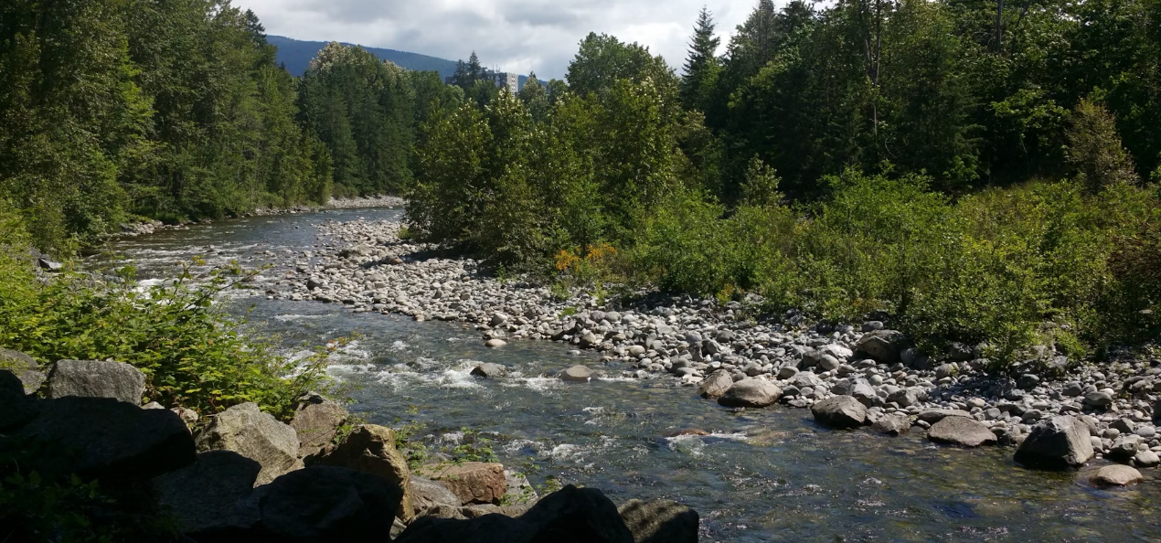Capilano river