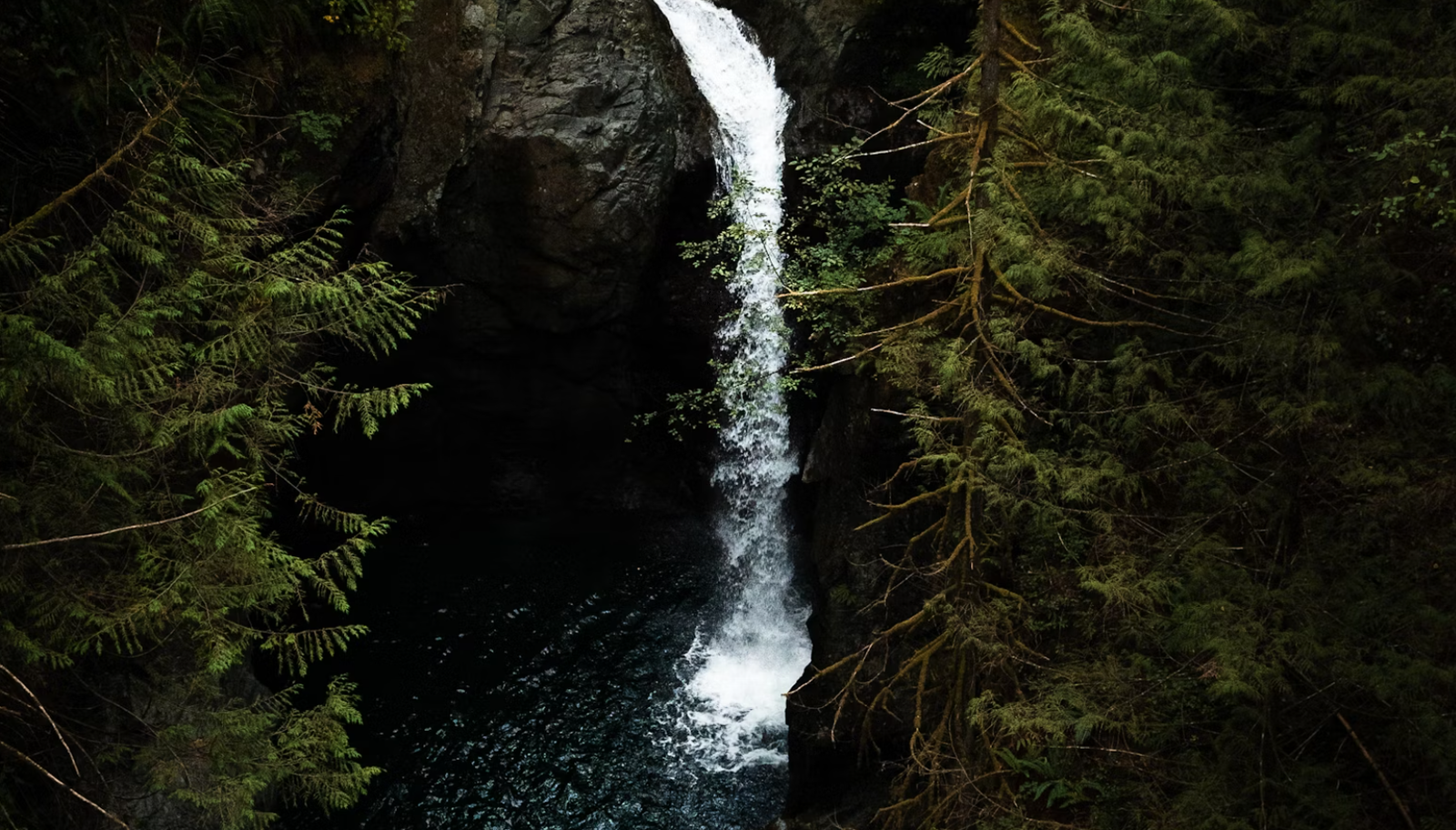 Lynn Canyon in North Vancouver.