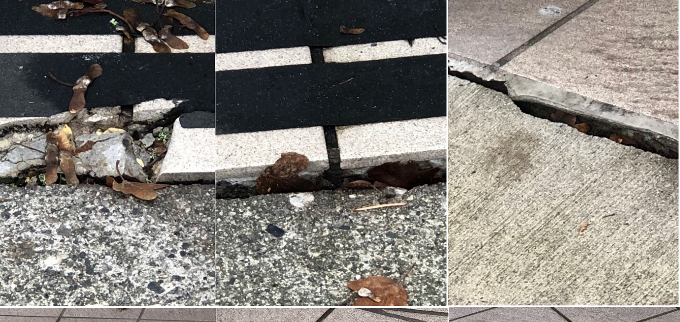 Sinking sidewalk in West Vancouver.