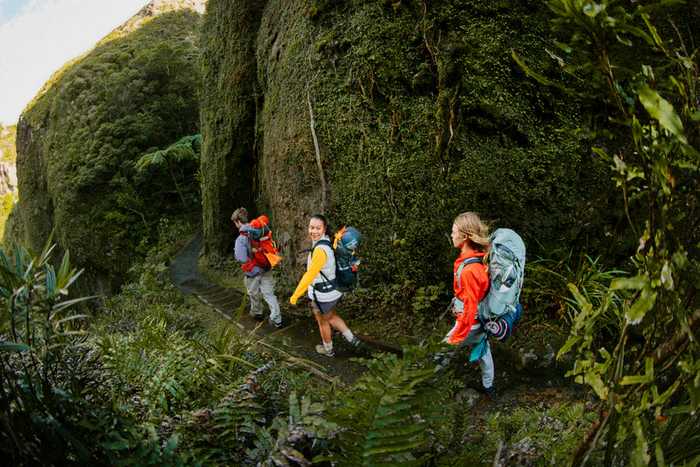 Hikers will take on the 4-kilometre trail at Cypress Mountain on August 30, joining the World’s Biggest Hike in a Guinness World Record attempt.