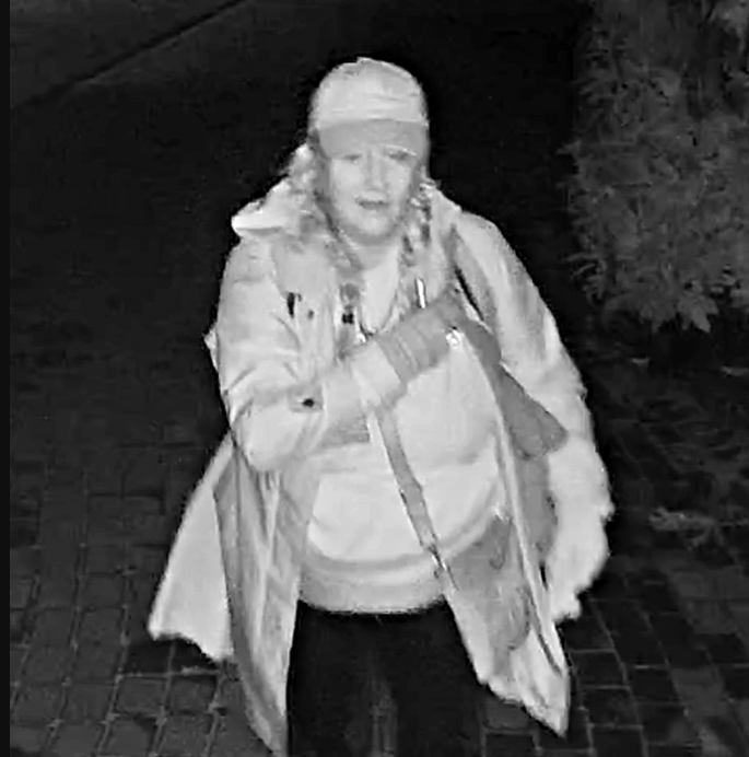 Break and enter suspect.