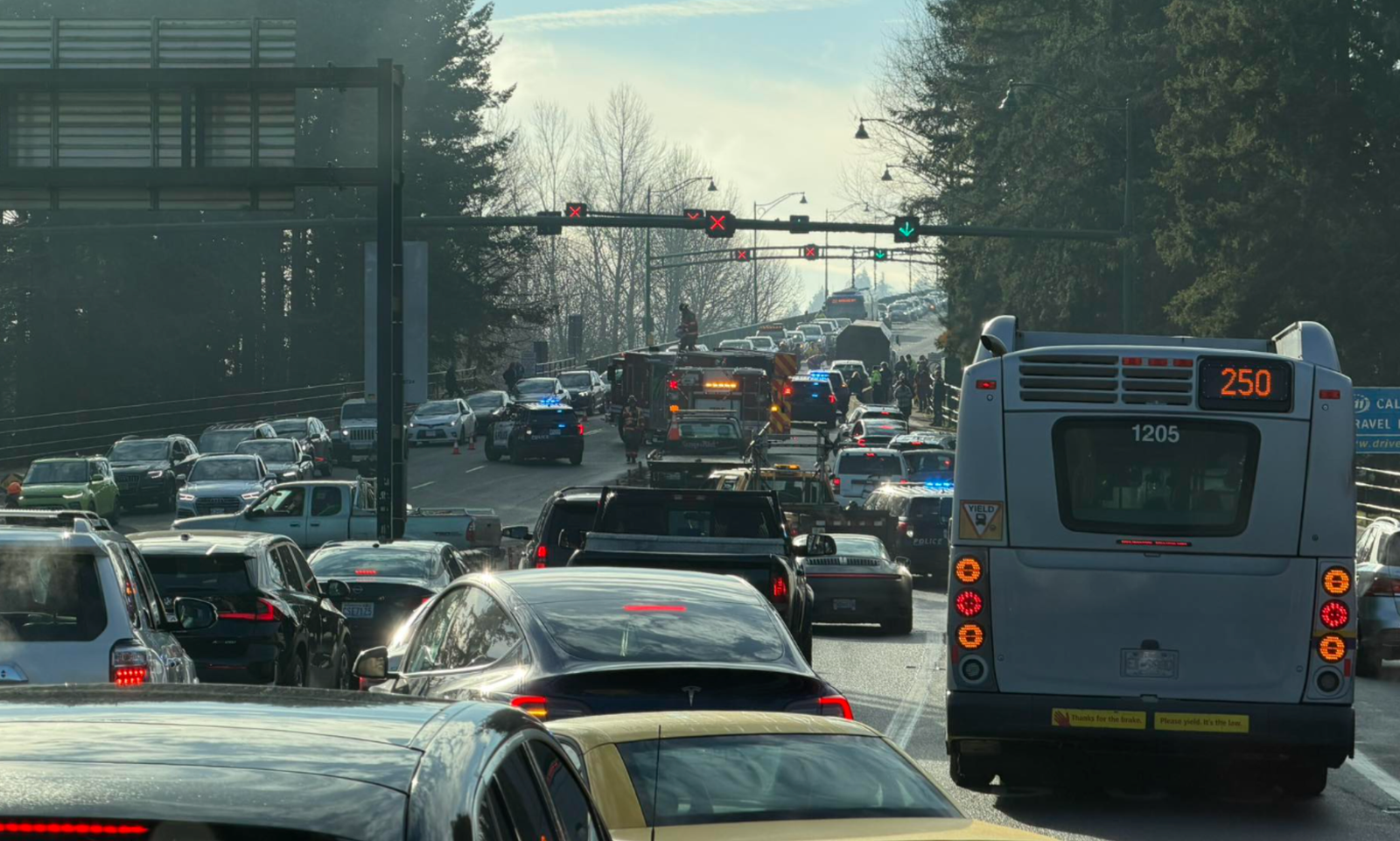 Traffic congestion on a North Shore roadway.
