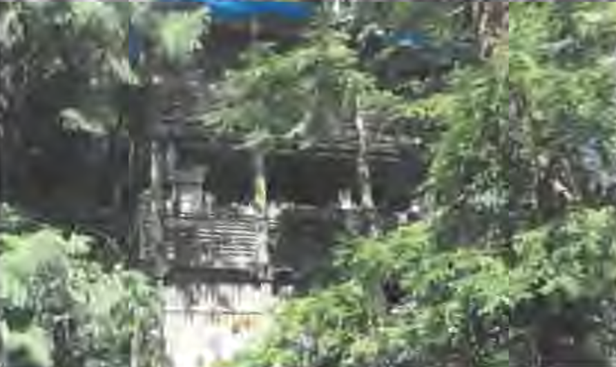 Dilapidated Nelson Avenue Home