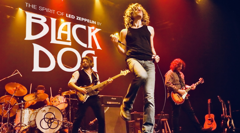 Led Zeppelin Tribute Band Black Dog