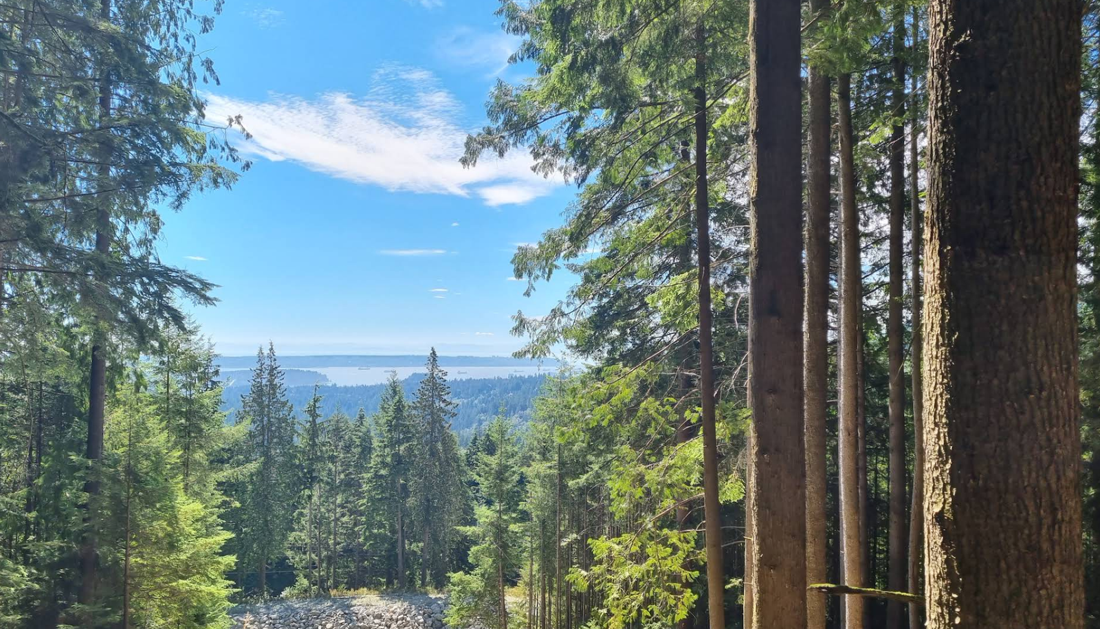 Grouse Grind Trail