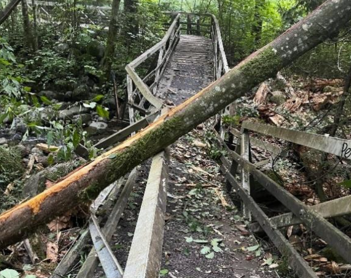 Hasting trail